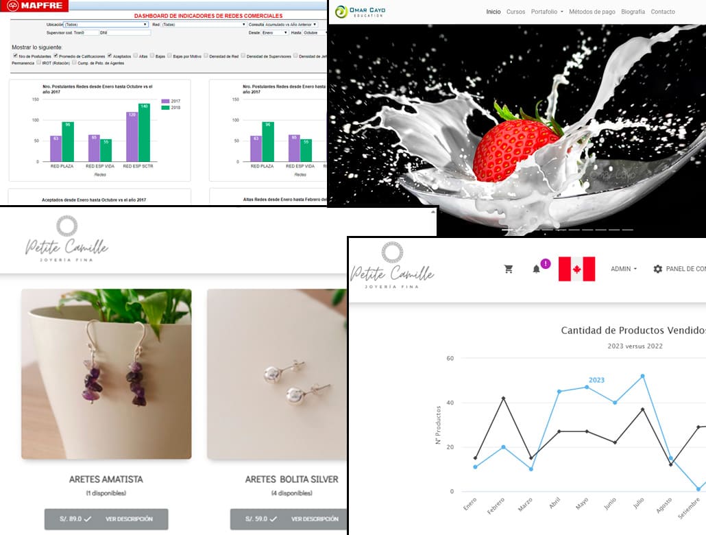 imagen grupal de proyectos