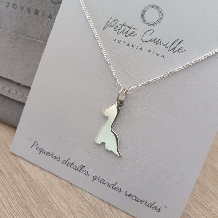 Imagen del collar dino