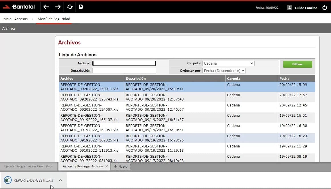 Imagen del reporte acotado del sistema web Bantotal con Descartes y GeneXus